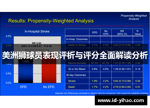 美洲狮球员表现评析与评分全面解读分析