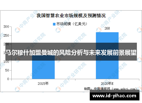 马尔穆什加盟曼城的风险分析与未来发展前景展望