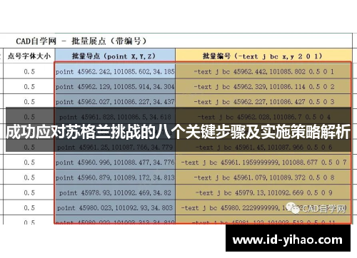 成功应对苏格兰挑战的八个关键步骤及实施策略解析